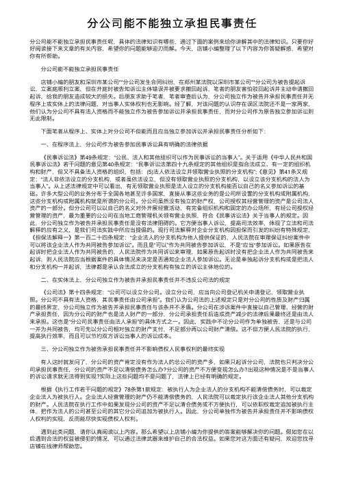 分公司能不能独立承担民事责任