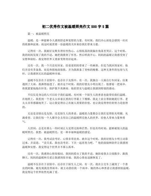 初二优秀作文被温暖照亮作文500字5篇