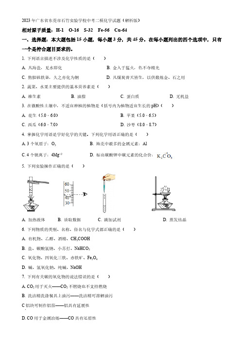 2023年广东省东莞市石竹实验学校中考二模化学试题(解析版)