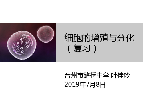 高中生物浙科版必修 分子与细胞必修细胞的增殖与分化单元复习部优课件