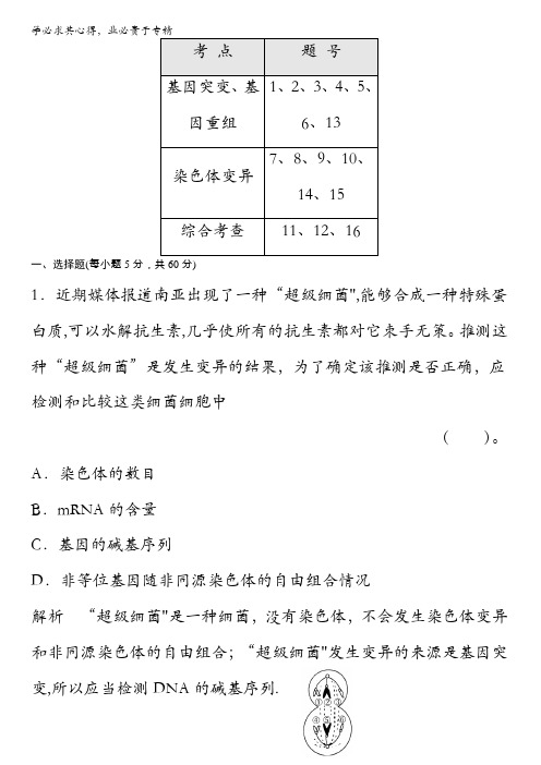 生物《遗传与进化》知识点习题演练(48)