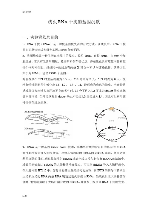 线虫RNA干扰的基因沉默