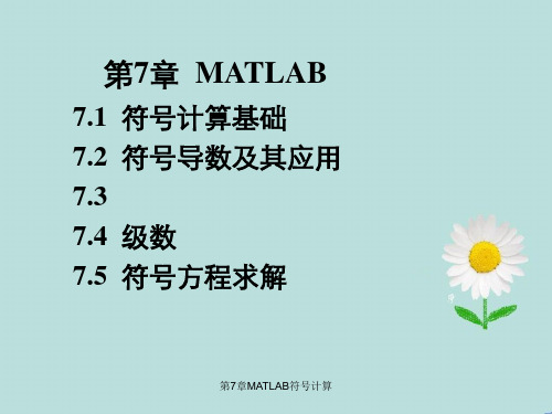 第7章MATLAB符号计算