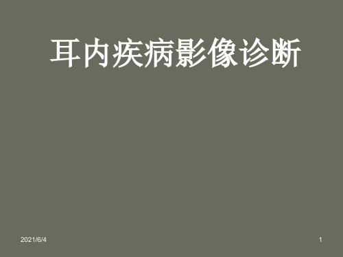 耳内疾病影像诊断PPT课件