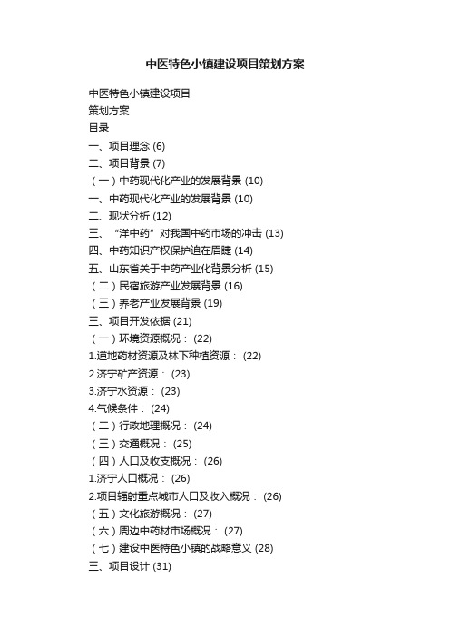 中医特色小镇建设项目策划方案