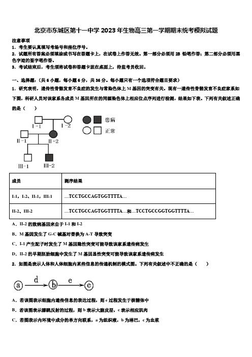 北京市东城区第十一中学2023年生物高三第一学期期末统考模拟试题含解析