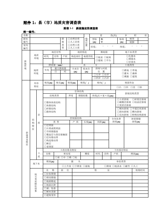 斜坡稳定性调查表