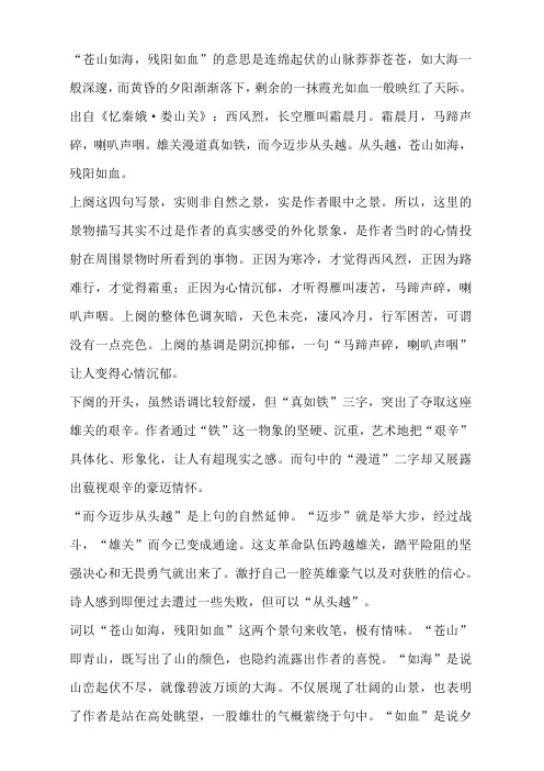 苍山如海残阳如血的意思
