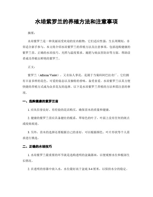 水培紫罗兰的养殖方法和注意事项