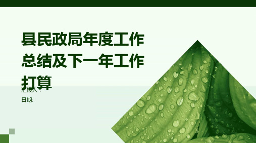 县民政局年度工作总结及下一年工作打算