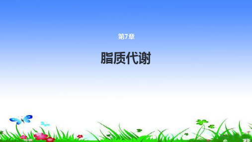 脂质的构成、功能及分析脂质的消化与吸收