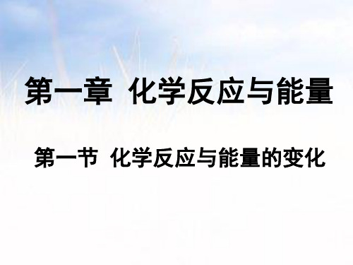 高中化学选修四第一章第一节-化学反应与能量的变化 课件