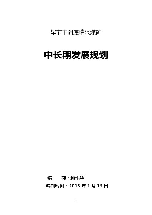 中长期发展规划