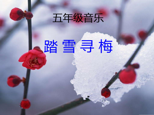 最新五年级上册音乐课件-踏雪寻梅3-湘教版