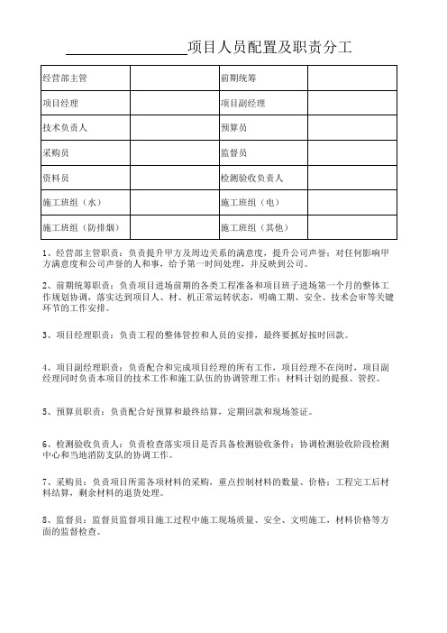 项目人员配置及职责分工