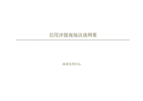 2019年商业信用中心访谈提纲