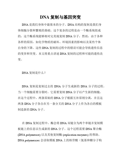 DNA复制与基因突变