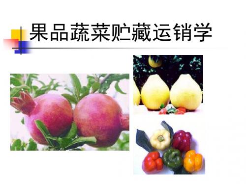 果品蔬菜贮藏运销学-1