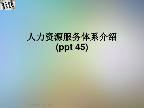 人力资源服务体系介绍(ppt 45)