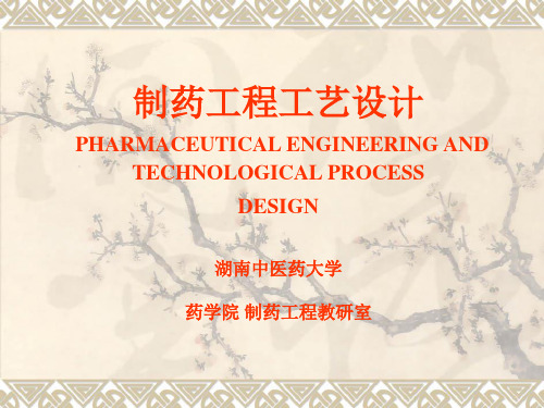 制药工程工艺设计第01章概要