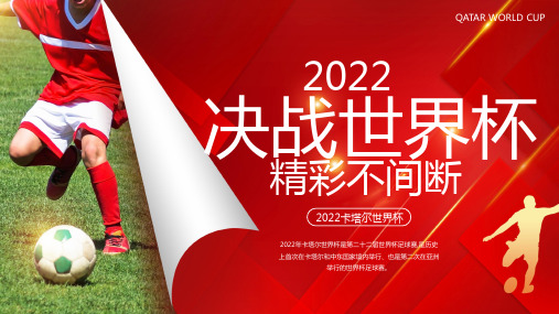 2022卡塔尔世界杯