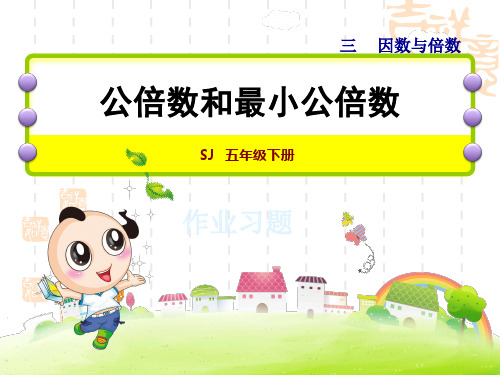 苏教版五年级下册数学: 第3单元 因数与倍数 公倍数和最小公倍数 习题课件 能力提升练和拓展练