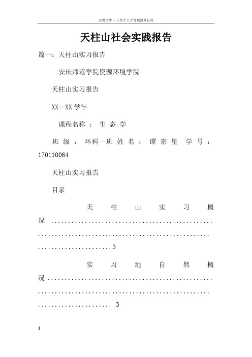 天柱山社会实践报告doc