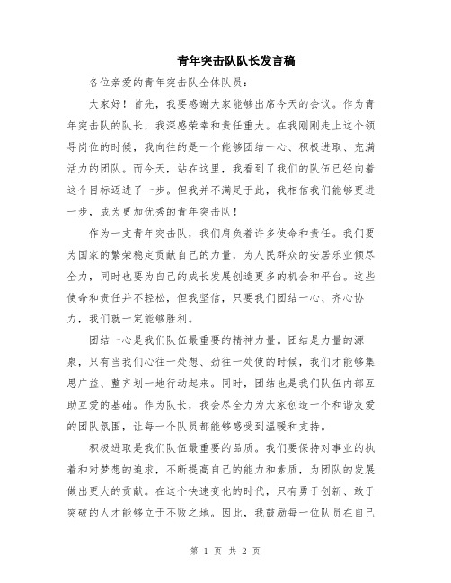 青年突击队队长发言稿