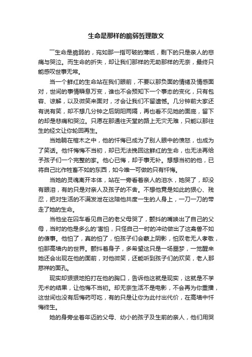 生命是那样的脆弱哲理散文