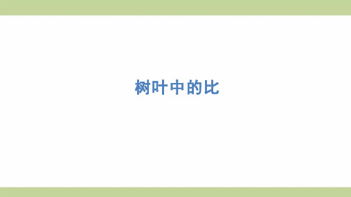 苏教版六年级上册数学 树叶中的比 知识点梳理重点题型练习课件