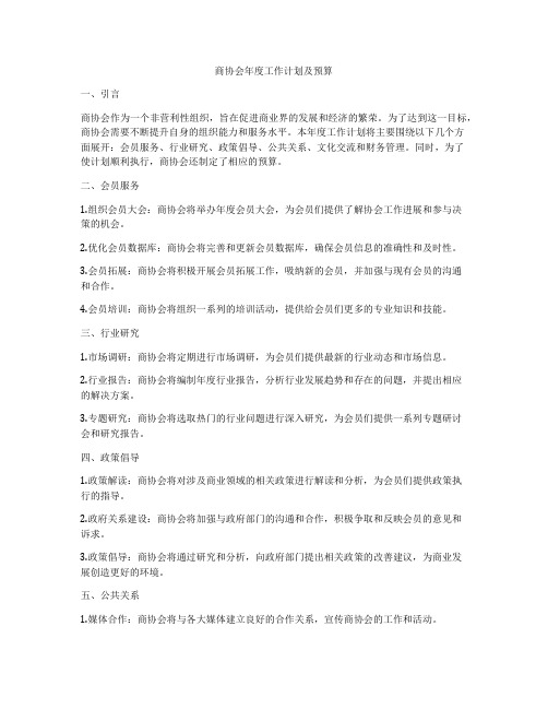 商协会年度工作计划及预算