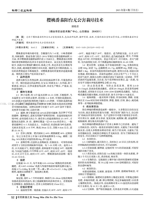 樱桃番茄阳台无公害栽培技术