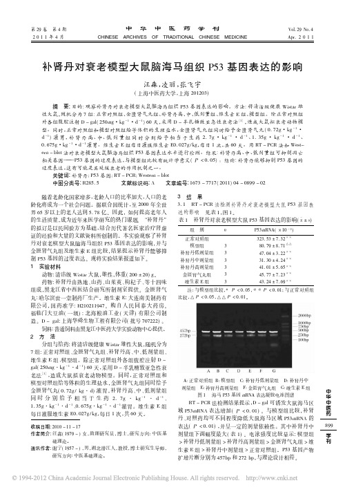 补肾丹对衰老模型大鼠脑海马组织P53基因表达的影响_汪淼