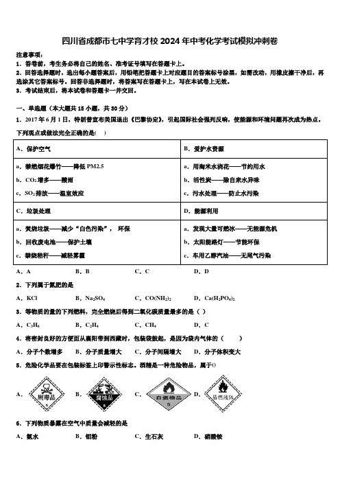 四川省成都市七中学育才校2024年中考化学考试模拟冲刺卷含解析