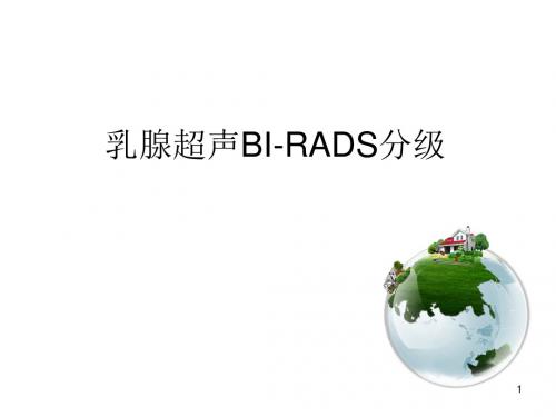 乳腺超声BI-RADS分级ppt课件