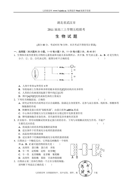 湖北2011届高三上学期五校联考生物