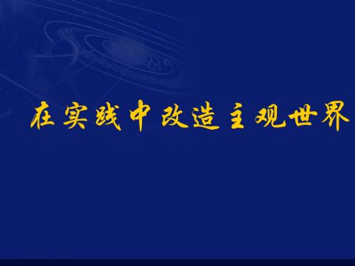 在实践中改造主观世界最新版