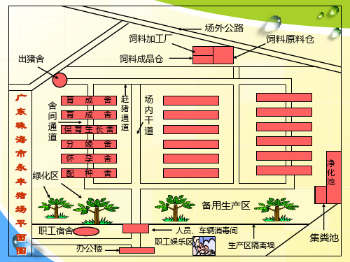 各大猪场平面设计图!!!