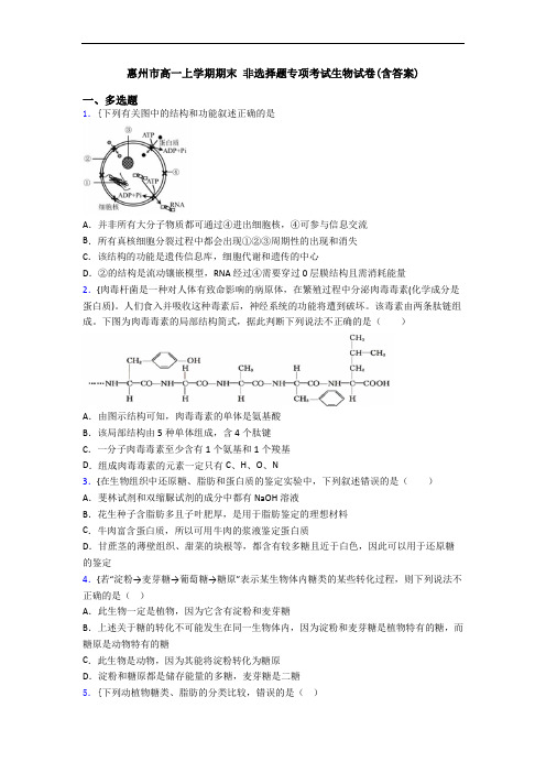 惠州市高一上学期期末 非选择题专项考试生物试卷(含答案)