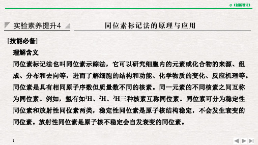 实验素养提升4 同位素标记法的原理与应用.pptx