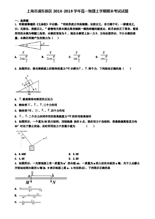 上海市浦东新区2018-2019学年高一物理上学期期末考试试题