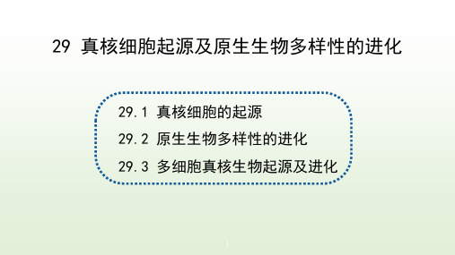 29 真核细胞起源及原生生物多样性的进化