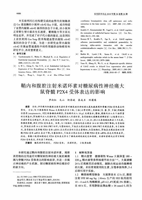 鞘内和腹腔注射米诺环素对糖尿病性神经痛大鼠脊髓P2X4受体表达的影响