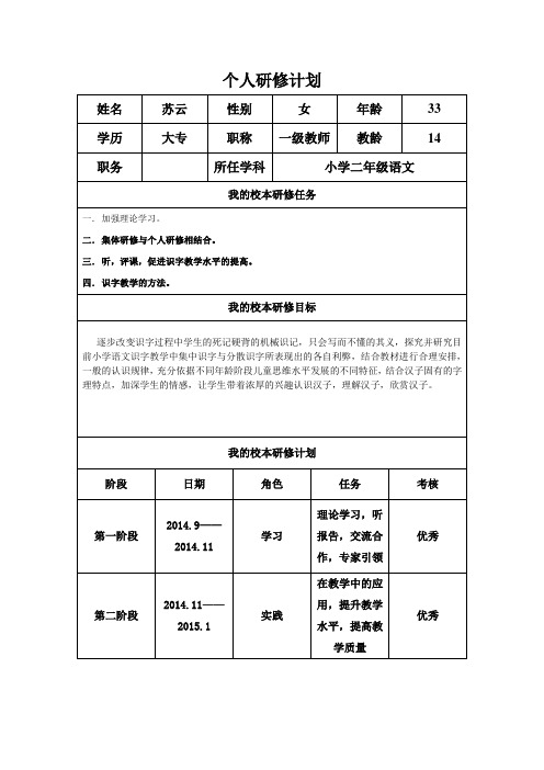 个人研修工作计划