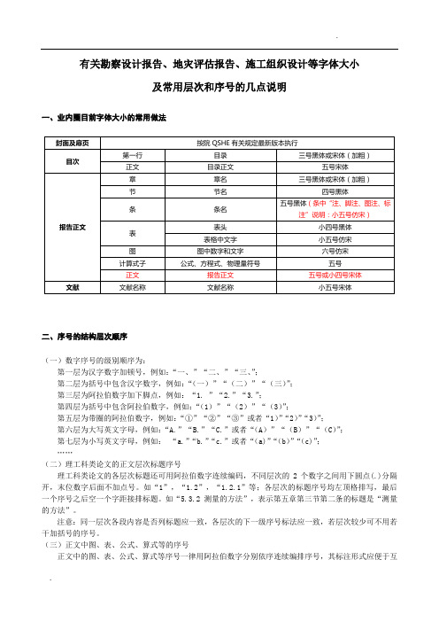 有关报告字体大小及序号结构层次顺序的说明