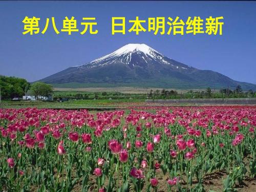 历史：8.1《从锁国走向开国的日本》课件(人教版选修1)—湖南师大附中内部资料