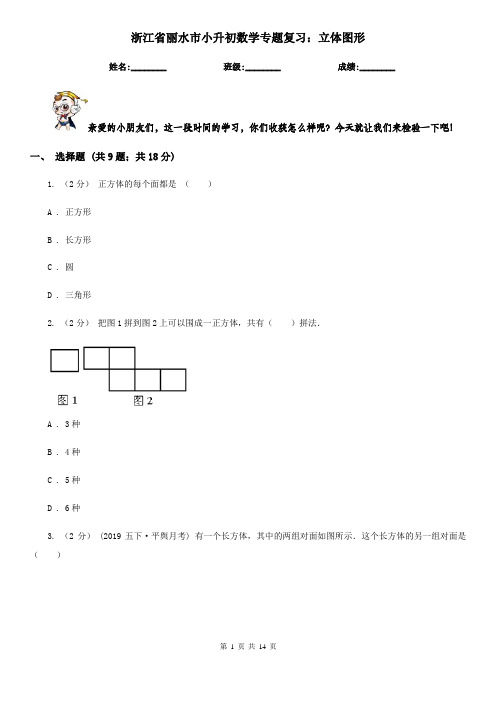 浙江省丽水市小升初数学专题复习：立体图形