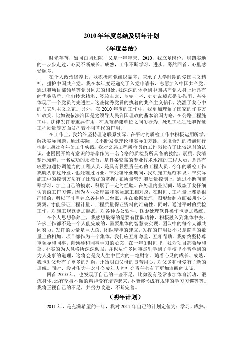 2010年年度总结及明年计划