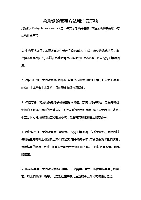 龙须铁的养殖方法和注意事项