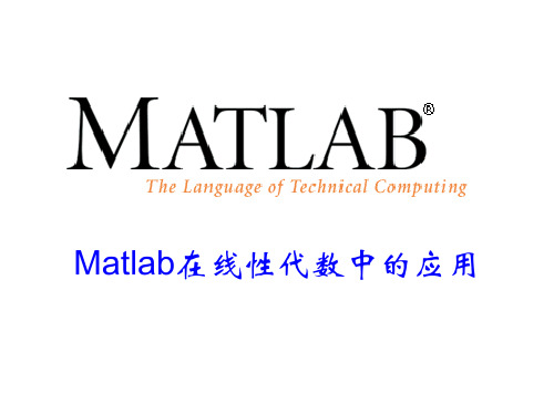 MATLAB06Matlab在线性代数中的应用PPT课件